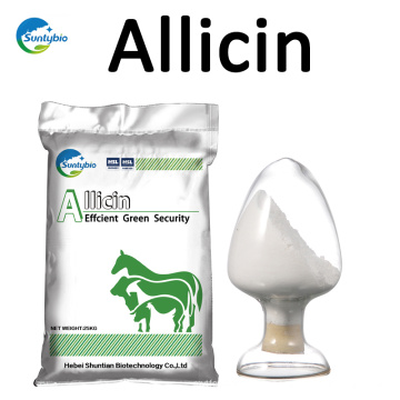 Special Price Supply Feed Additives Organic Allicin Garlic For Sale